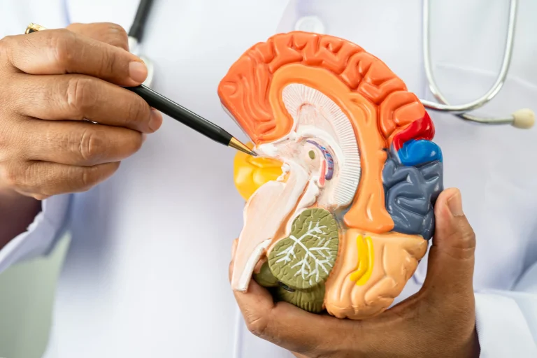 Hydrocephalus in Adults