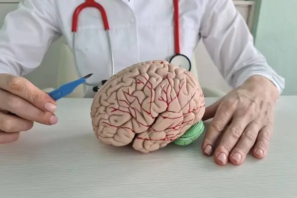 Navigating Neurological Disorders in the Workplace Navigating Neurological Disorders in the Workplace