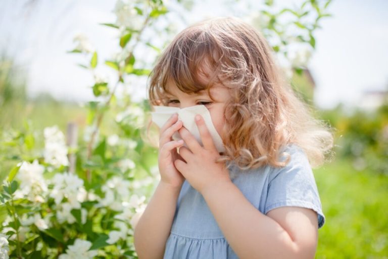 Remedies for Seasonal Allergies Seasonal Allergies